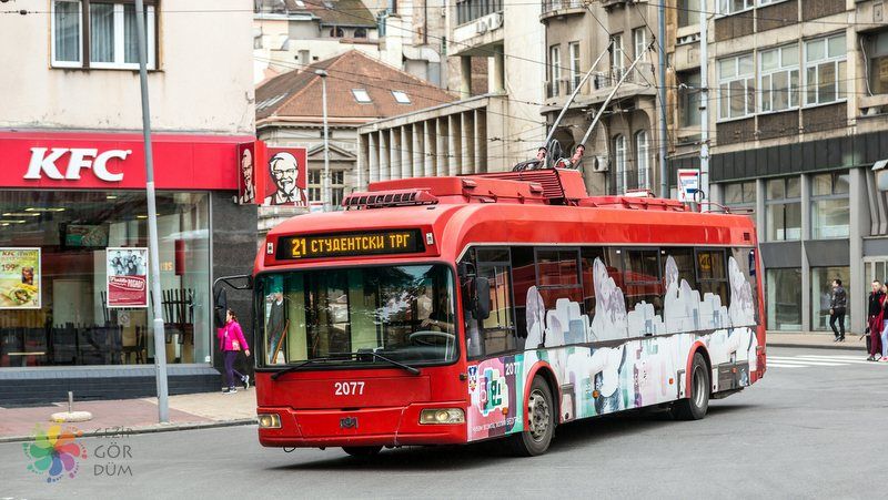 belgrad gezi rehberi ulaşım